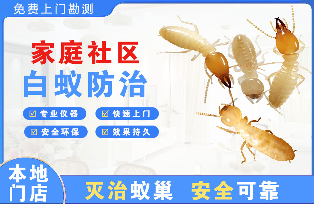 嘉兴家庭社区白蚁防治