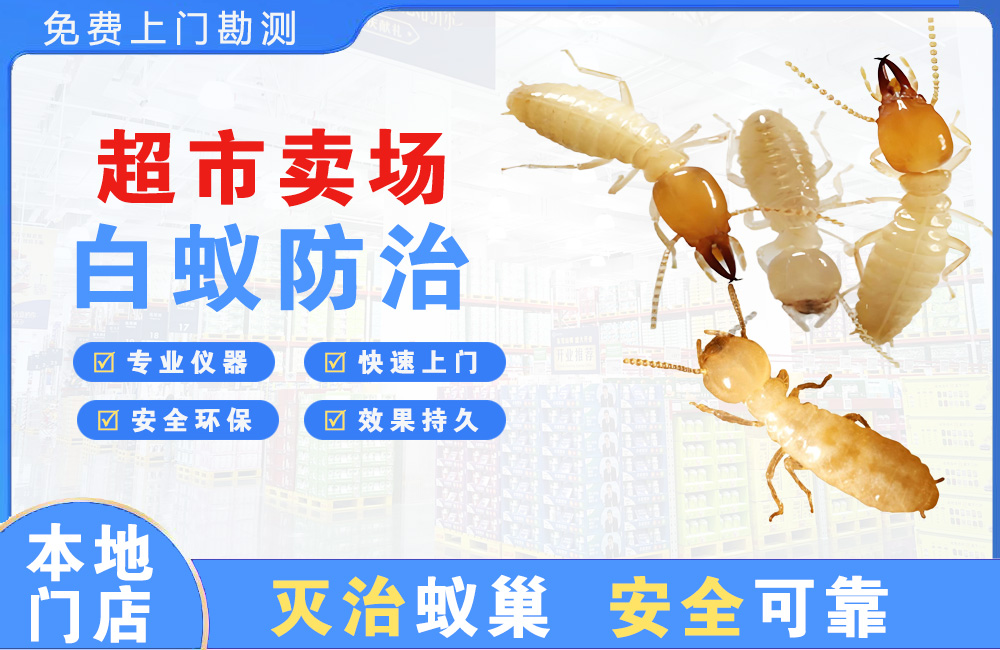 嘉兴超市卖场白蚁防治