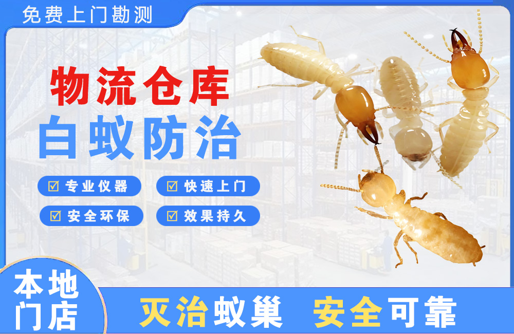 嘉兴物流仓库白蚁防治