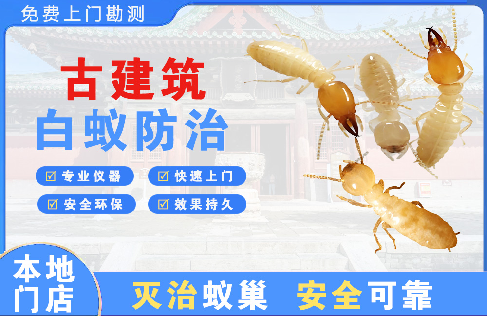 嘉兴古建筑白蚁防治