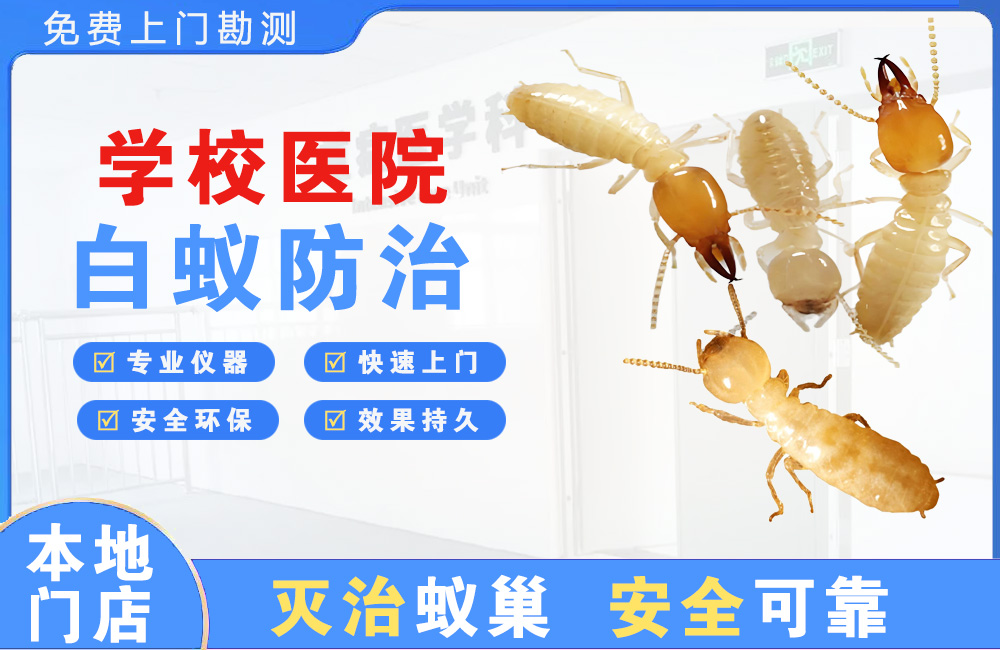 嘉兴学校医院白蚁防治