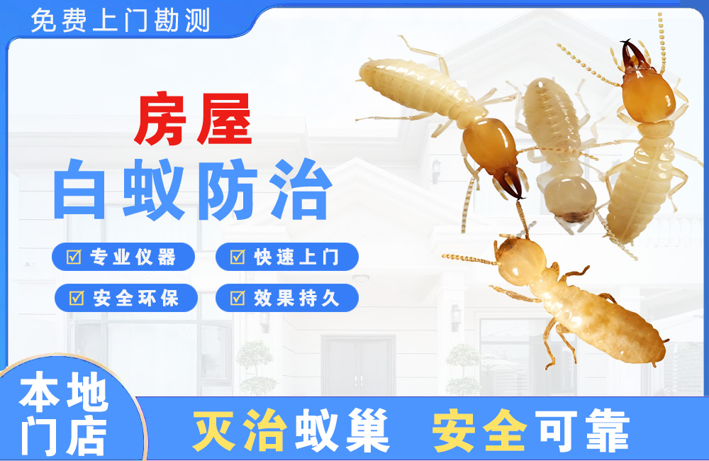 嘉兴房屋白蚁防治