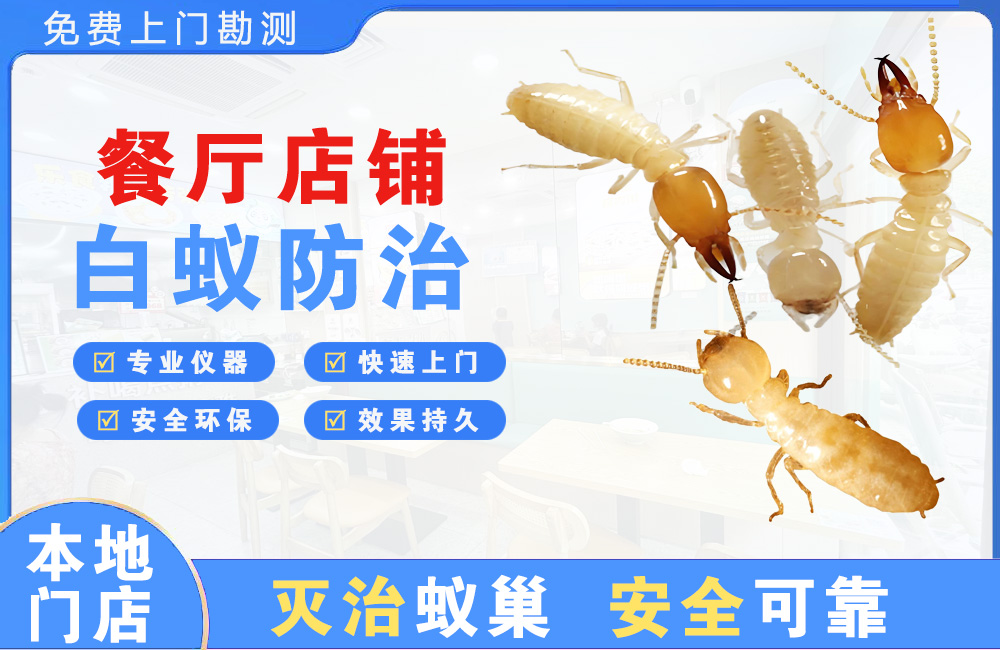 嘉兴餐厅店铺白蚁防治
